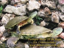Haga Click Aqu� Para Ampliar